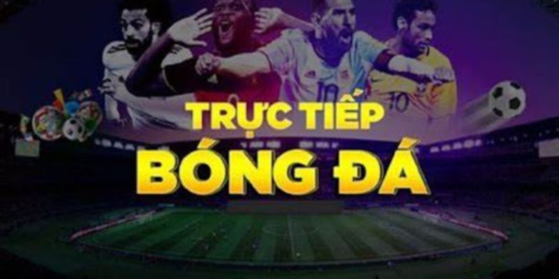 Giới thiệu tổng quan bongda tv